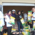 Distapan Luwu pantau penyaluran dan penjualan beras SPHP-1694600701