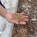 DLH Mataram siapkan 8.000 biopond maggot di TPST modern-1695985601