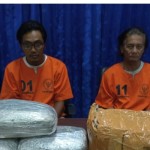 Dokumentasi- Pelaku pengedar narkotika ganja yang diamankan BNNP Bali di Denpasar, Senin (18/9/2023). ANTARA/Ho-BNNP Bali-1695023508