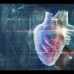 Ilustrasi - gangguan jantung dan penyakit sistem kardiovaskular. ANTARA/Shutterstock/pri. (ANTARA/Shutterstock)-1694602269
