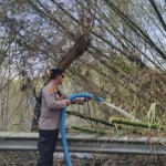 Kebakaran hutan lindung Watu Kanggorok di NTT dapat dilokalisasi-1694677397