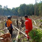 Kegiatan pembukaan lahan di kawasan hutan Tabalong. (ANTARA/HO-KPH Tabalong)-1695113662