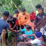 Perempuan yang dilaporkan hilang di hutan Buton Selatan ditemukan-1695181161