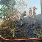 Petugas sedang memadamkan karhutla di Kabupaten Penajam Paser Utara (Antara / HO Pusdalops Kabupaten PPU)-1695625155