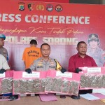 Polres Sorong tetapkan pengedar ganja 1,2 kilogram jadi tersangka-1694935013