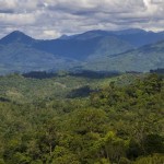 RI dan 16 negara surati Uni Eropa prihatinkan UU antideforestasi-1694157576