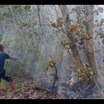 Tim gabungan tengah melakukan pemadaman api di kawasan bukit Sakbuk Bangka (ANTARA/Kasmono/Ho.BPBD Bangka)-1695007841
