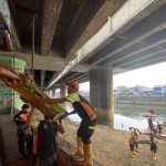 UPS Badan Air Jakut inspeksi sampah di Kali Jodo hingga Penjaringan-1694060840