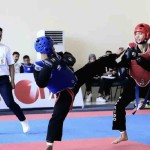 Atlet Hapkido bertanding di Asrama Haji, Kota Bekasi, Minggu (22/10/2023). ANTARA/HO-KONI Pusat-1698056043