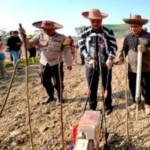 Banjarbaru percepat tanam padi antisipasi dampak El-Nino-1696493360