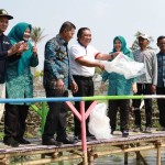 benih ikan nila-1697804327