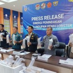 Benur Lobster-1698202964