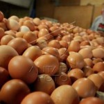 BI: Harga telur ayam hingga cabai turun tahan inflasi DIY-1696492273