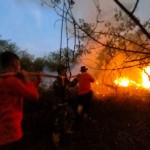 BMKG pantau ada 91 titik panas di Kaltim-1697515522