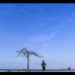 BMKG: Seluruh wilayah Jakarta cerah pada Selasa siang hingga malam-1697514501