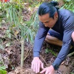 BPOLBF promosi desa wisata Golo Loni di Flores lewat wisata pengenalan-1697704910