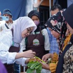 Dokumentasi penyuluhan oleh Kementerian Pertanian terhadap petani binaan program Upland Project. ANTARA/HO-Kementan-1696323859