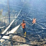 Jumlah titik panas di Kalimantan Timur berkurang-1697776111