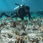 Keanekaragaman hayati jadi aset berharga bagi Indonesia-1696936074