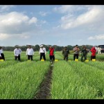 Kulon Progo-1698386471