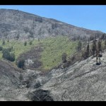 Polda Jatim limpahkan berkas kasus karhutla Bromo ke Kejaksaan-1696402993