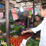 Presiden RI Joko Widodo-1698302064