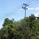 Salah satu ruang terbuka hijau di Biak. (ANTARA/Muhsidin)-1697010458