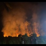 Tim gabungan lakukan pemadaman. (ANTARA/Muhamad Nurman)-1697515135