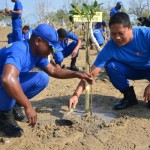 Ditpolai NTT tanam mangrove di kawasan wisata Oesapa-1701059825