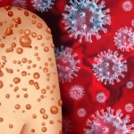 Ilustrasi - Cacar monyet atau monkeypox. (ANTARA/HO-Shutterstock)-1699269702