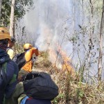 Luas area terdampak kebakaran Gunung Panderman capai 3,5 hektare-1700639654