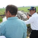 Mentan optimalkan 200 ribu ha lahan rawa Kalsel topang produksi beras-1700124780