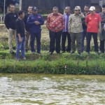 Pemprov Riau atasi kendala mahalnya harga pakan ikan patin-1701061056