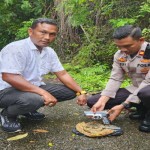 Personel Polres Pidie saat mengambil senjata yang baru diserahkan warga, di Pidie, Selasa (14/11/2023) (ANTARA/HO/Polres Pidie)-1700120712