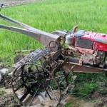 Petani Lebak mulai kelola sawah guna percepat tanam padi-1700124366