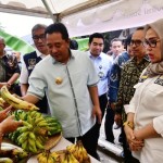 pisang-1699520400