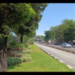 Ruang terbuka hijau (RTH) di Jalan Matraman Raya, Jakarta Timur, Selasa (12/09/23). ANTARA/ Donny Aditra-1699521990