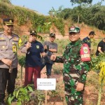 Aksi bersih-bersih dan penanaman pohon oleh anggota Koramil di Kabupaten Bogor, Jawa Barat. (ANTARA/HO-Kodim Kabupaten Bogor)-1701852692