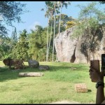 Bali ZOO-1703237092