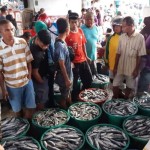 Kegiatan pelelangan ikan di Tempat Pelelangan Ikan rumah arumbee di pasar Mardika kota Ambon. ANTARA/ Penina F Mayaut.-1702458321