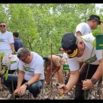 Kejati Papua Barat-UPT KLHK tanam 650 bibit mangrove di Manokwari-1701757497