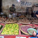 Kemenkes: Indonesia miliki potensi besar kembangkan obat bahan alam-1701674298