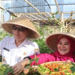 Pemkot Jakpus panen cabai guna tingkatkan ketahanan pangan akhir tahun-1703055107