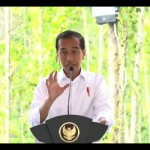 Presiden senang investor lokal berbondong-bondong investasi di IKN-1703062978