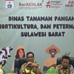 Kepala Dinas TPHP Provinsi Sulbar Syamsul Ma'rif (tengah). (ANTARA/HO/Diskominfo Sulbar)-1706513833