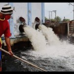 Seorang penjaga rumah pompa air di Kota Pekalongan sedang melakukan pemungutan sisa sampah. ANTARA/HO-Dokumentasi Pribadi-1705648752