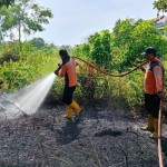 BMKG deteksi 121 titik panas tersebar di Kalimantan Timur-1706772416