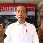 Presiden RI Joko Widodo-1706759033