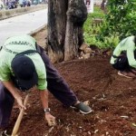 Sudin Pertamanan Jakbar tata ulang jalur hijau di Jalan Kyai Tapa-1706785106