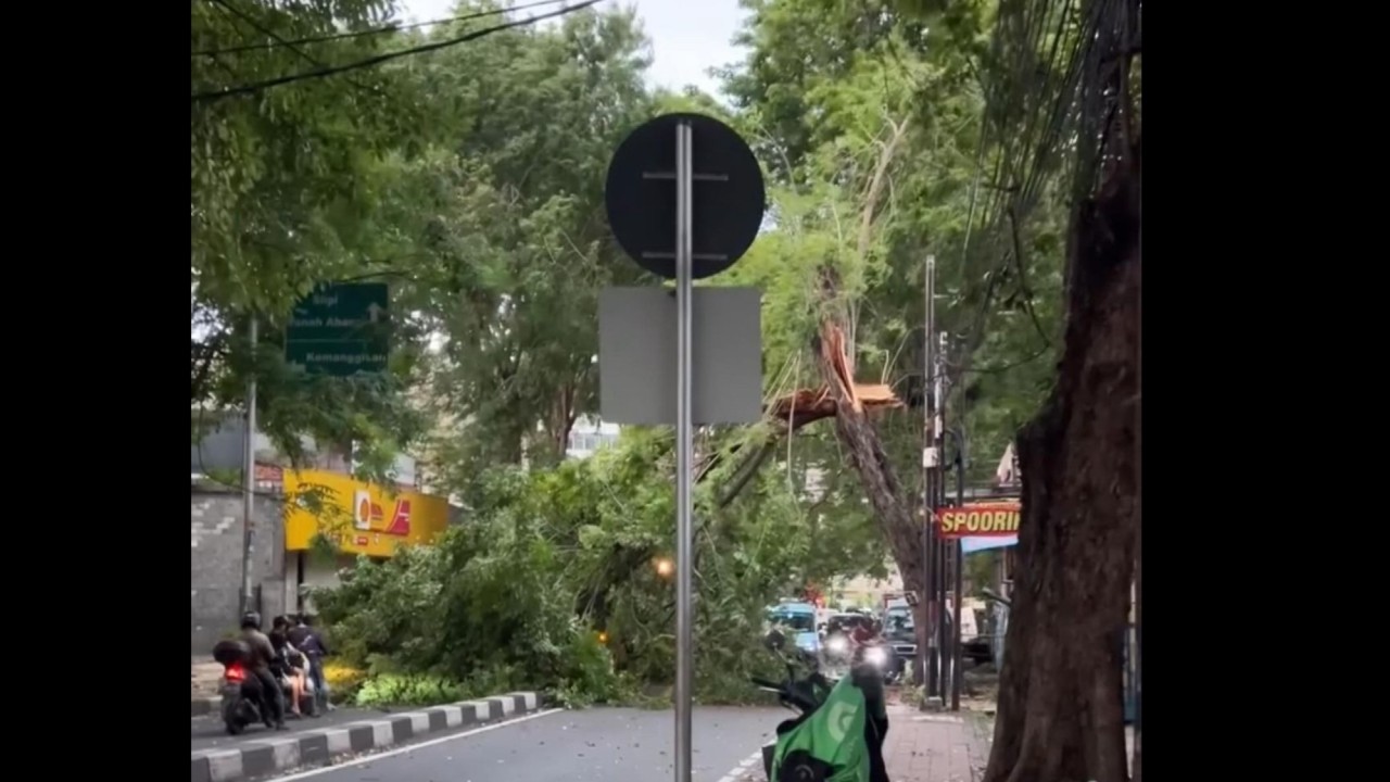 Pohon tumbang di kawasan Palmerah, Jakarta Barat. (Instagram)